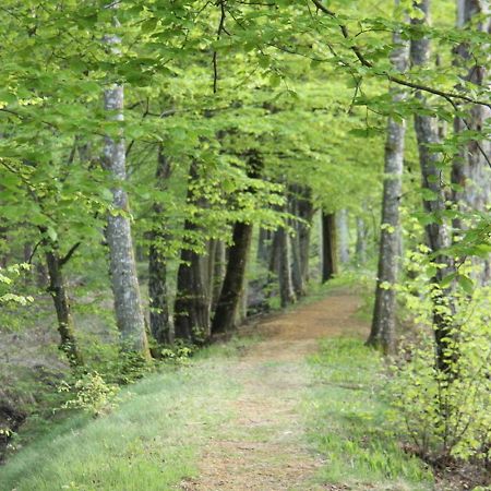 Lille Carlsson Villa Broby Dış mekan fotoğraf