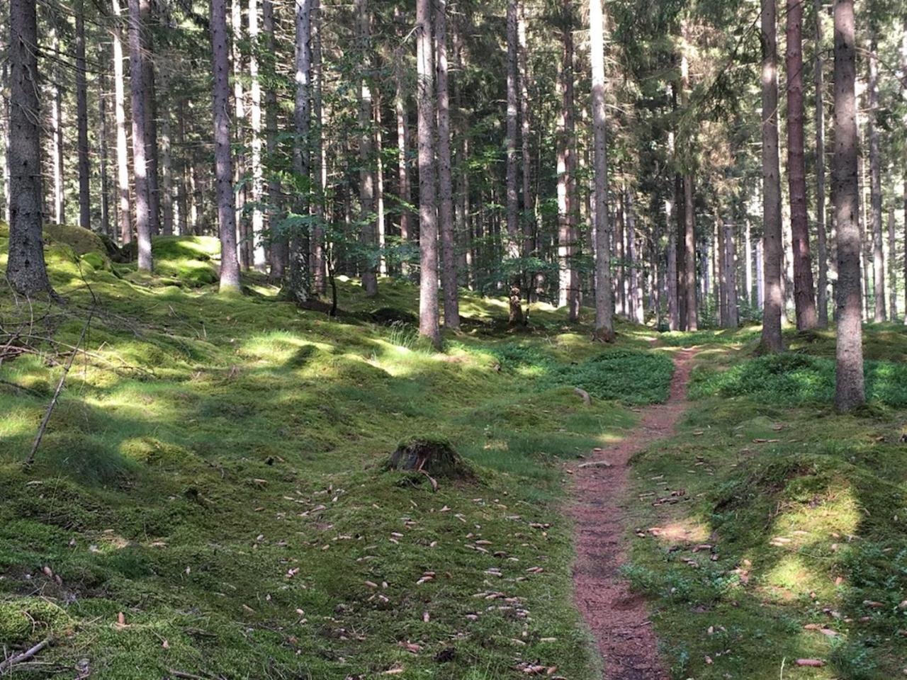 Lille Carlsson Villa Broby Dış mekan fotoğraf